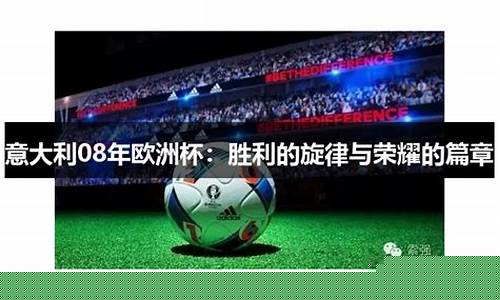 08年欧洲杯完全赛过-2008年欧洲杯比
