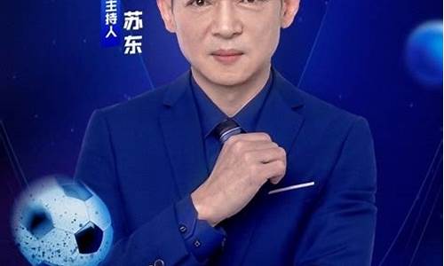 苏东今晚解说英超嘛-解说员苏东前妻