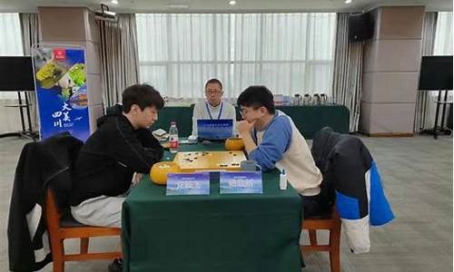 全国围棋甲级联赛季后赛排名-全国围棋甲级