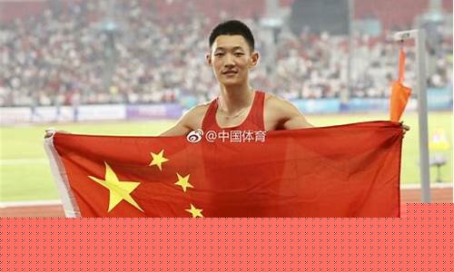 亚运会少年身披国旗-亚运参赛国国旗