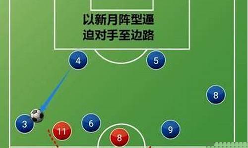 阿根廷国家队阵型图片-阿根廷国家队阵型