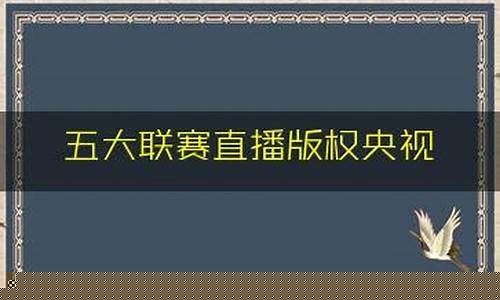 央视5大联赛转播权-央视5大联赛版权
