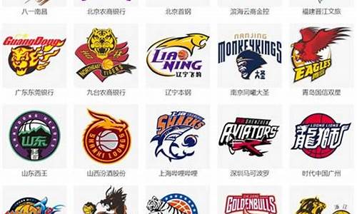 什么是体育职业联赛-职业体育联盟有哪些