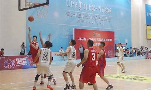 中国乙级球队-全国乙级篮球联赛