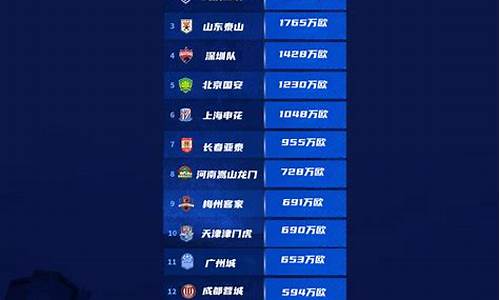 中超联赛身价排名榜-中超联赛身价排名榜