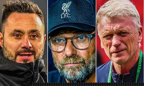 英超主帅莫耶斯工资-英超主帅莫耶斯工资多少