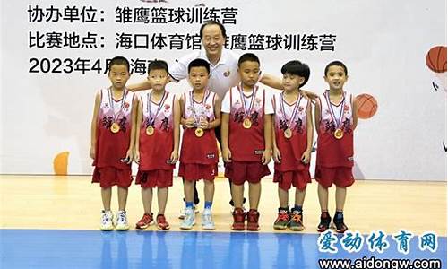雏鹰篮球训练基地收费-雏鹰篮球馆