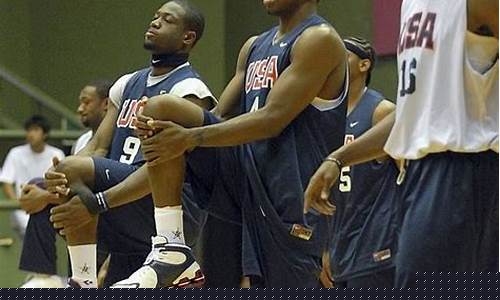06年nba换过的篮球-06年nba球星