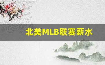 北美MLB联赛薪水-mlb比赛结果