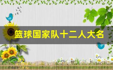 篮球国家队 名单-篮球国家队十二人大名单