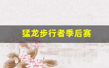 猛龙步行者季后赛战绩-猛龙步行者季后赛