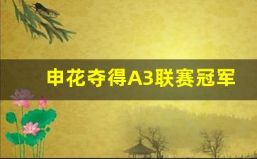 申花剥夺2003甲a冠军-申花夺得A3联赛冠军