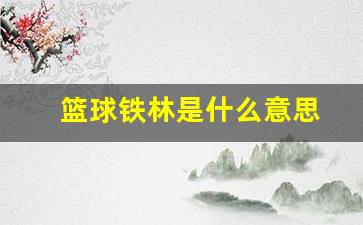 篮球里铁是什么意思-篮球铁林是什么意思