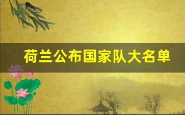 荷兰国家队队长是谁-荷兰公布国家队大名单