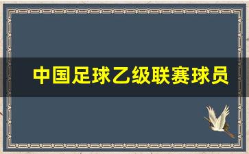 中国足球乙级联赛是职业联赛吗-中国足球乙级联赛球员和
