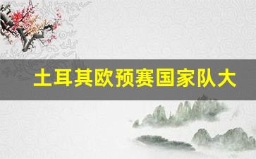 土耳其欧预赛国家队大名单-土耳其欧预赛分组