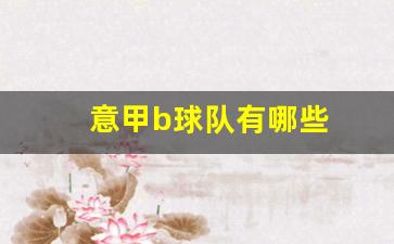 意甲b球队有哪些-意甲b球队有哪些球员