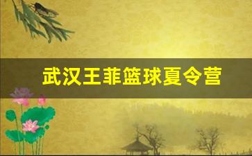 武汉王菲篮球夏令营-王菲篮球学校招生简章