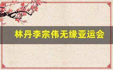 林丹李宗伟无缘亚运会-林丹和李宗伟伦敦奥运会