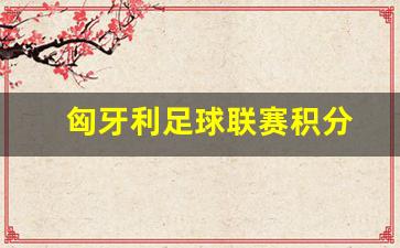 匈牙利足球联赛积分-匈牙利足球成绩
