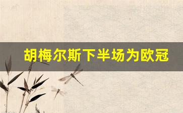 胡梅尔斯转会费-胡梅尔斯下半场为欧冠留力