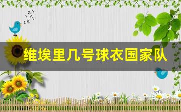 维埃里在国米几号-维埃里几号球衣国家队