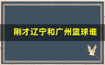 刚才辽宁和广州篮球谁赢了-辽宁和广州篮球赛