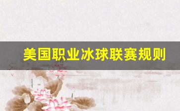 美国职业冰球联盟-美国职业冰球联赛规则