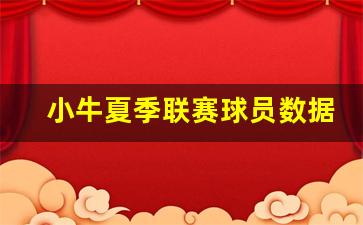 小牛队季后赛战绩-小牛夏季联赛球员数据