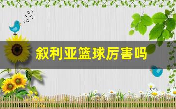 叙利亚超级联赛篮球-叙利亚篮球厉害吗